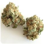 Шишки "White Widow"  (Белая вдова)  Гидропоника -  Бошка VHQ в Екатеринбурге