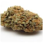 Шишки AK47 (Гидропоника, Бошка) VHQ в Екатеринбурге Шишки AK47 (Гидропоника, Бошка) VHQ в Екатеринбурге