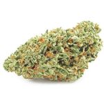 Шишки OG Kush (Гидропоника, бошки) VHQ в Екатеринбурге Шишки OG Kush (Гидропоника, бошки) VHQ в Екатеринбурге
